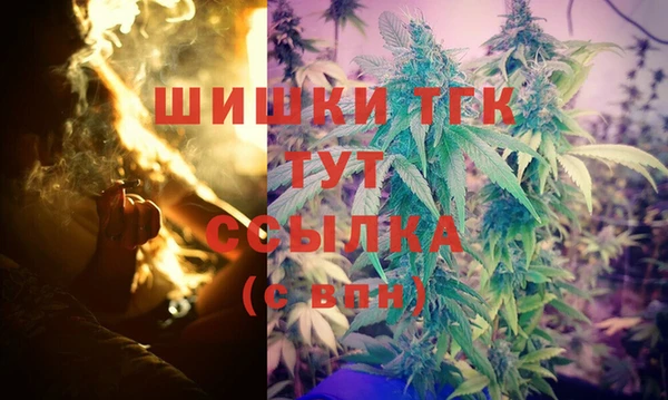 кокс Арсеньев