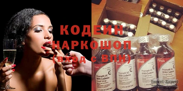 шишки Аркадак