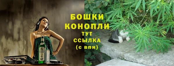 шишки Аркадак